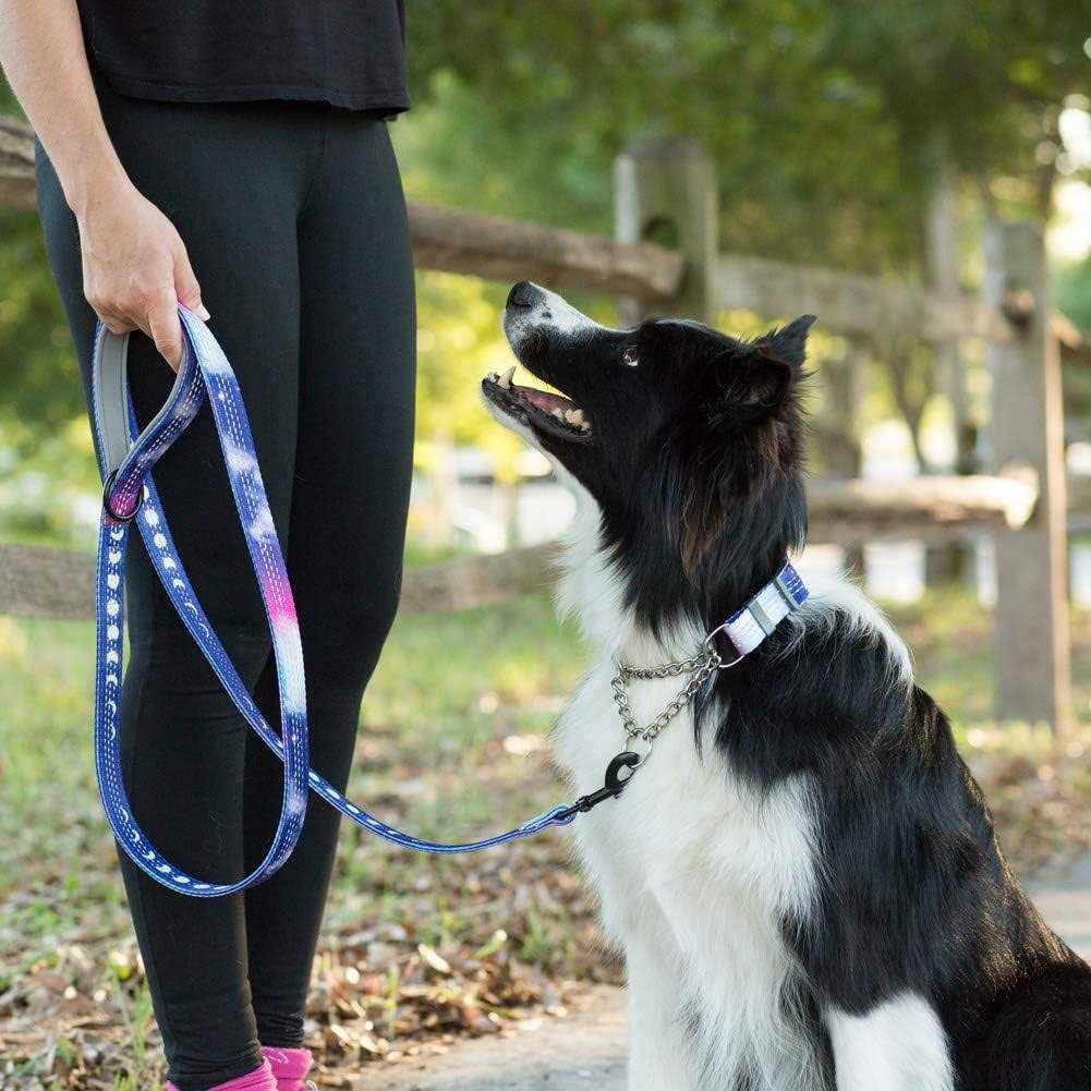 Patterned Reflective Chain Martingale Dog Collar P896566