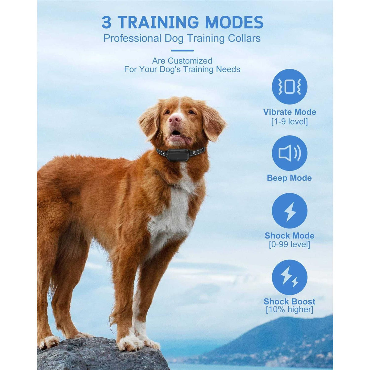 Dog Training Collar with Remote E5127