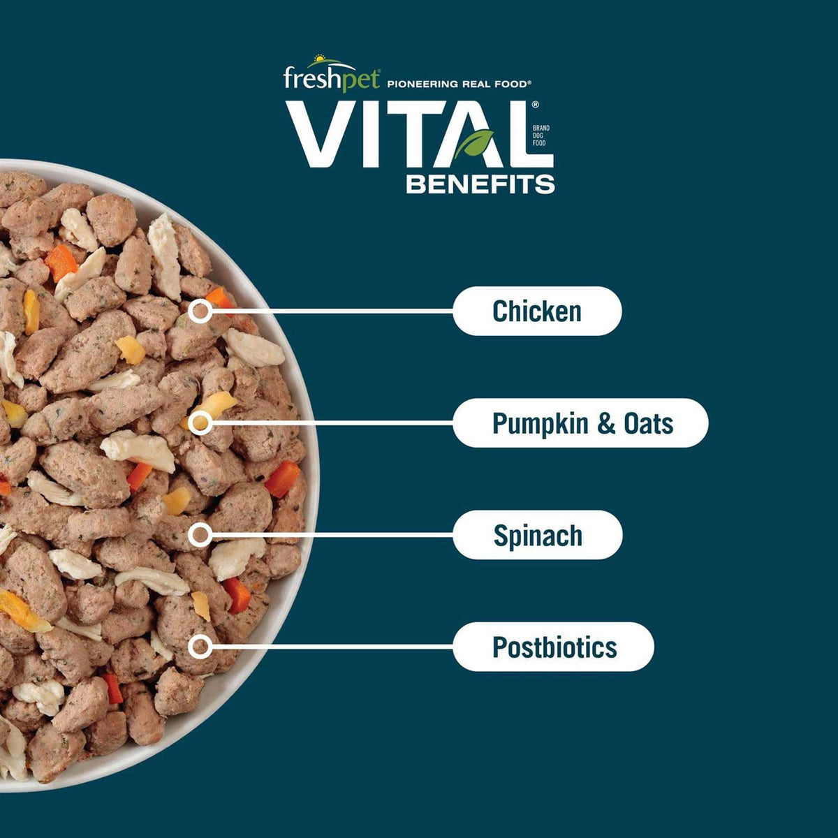 Chicken Recipe Dog Food S100511