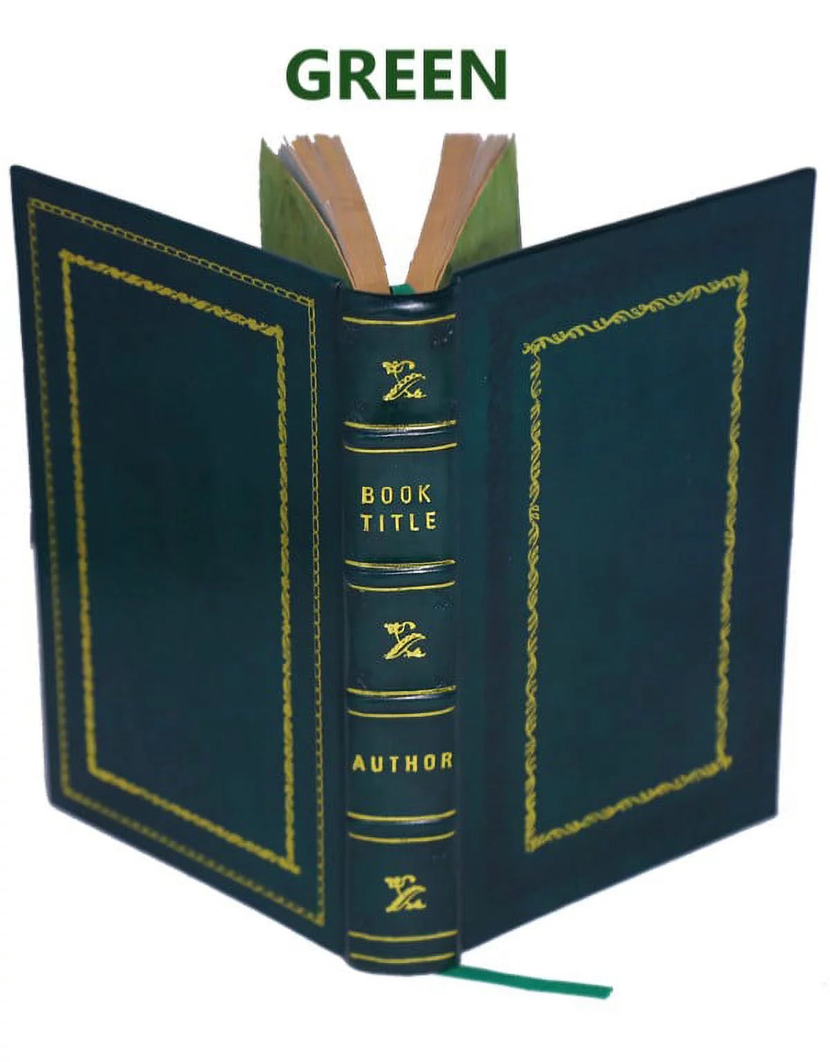 Memoirs of Walsingham Secretary of State 1695 Premium Leather Bound N1459